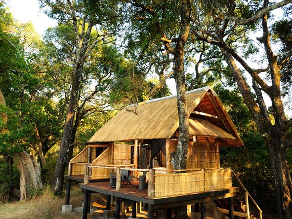 Chamilandu - Treehouse 